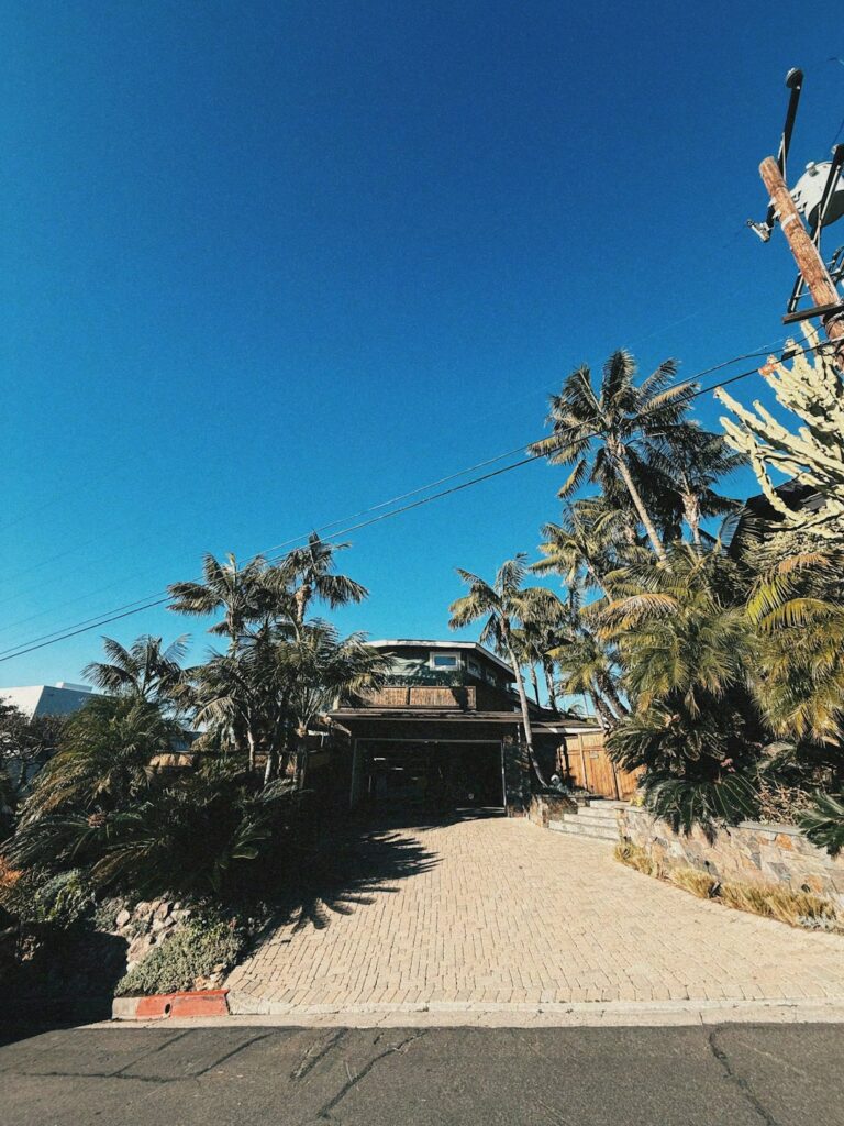 Photo by Skyler Smith on Unsplash